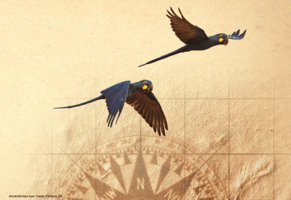 icmbio_atlas_imagem1